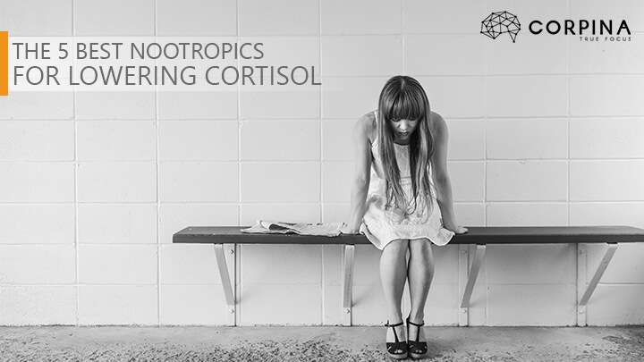 how does modafinil cortison feel like